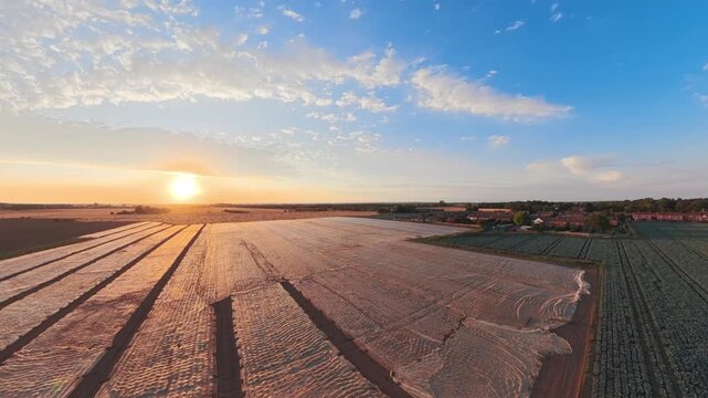 Golden sun dips low, casting warm hues across farmland. Ploughed rows stretch wide, guiding eye toward distant horizon. Sky blushes with clouds, blending blue and amber in twilight. Lincolnshire