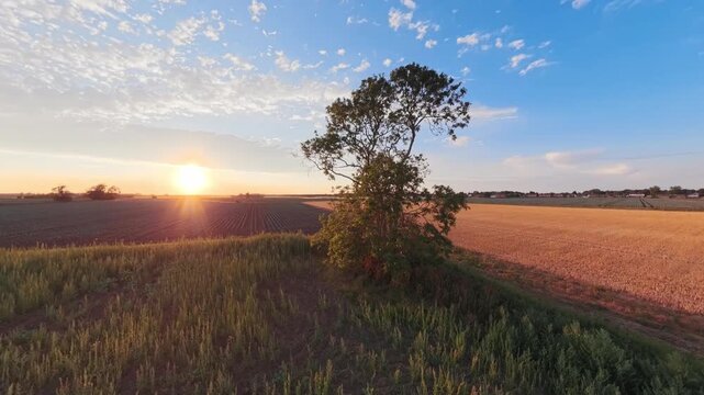 Golden sun dips low behind tree-lined field. Sky blushes blue with wispy clouds. Grass waves gently in golden breeze. Farmland stretches wide under warm light. Lincolnshire