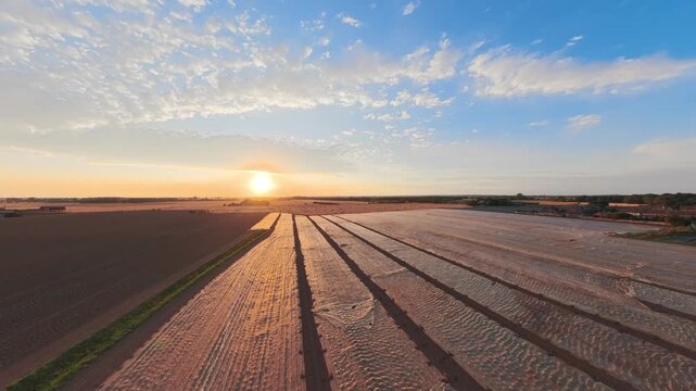 Golden sun sets over endless farm fields. Clouds drift across a soft blue sky. Rows stretch into horizon, casting long shadows. Peaceful rural scene, bathed in warm, fading light. Lincolnshire