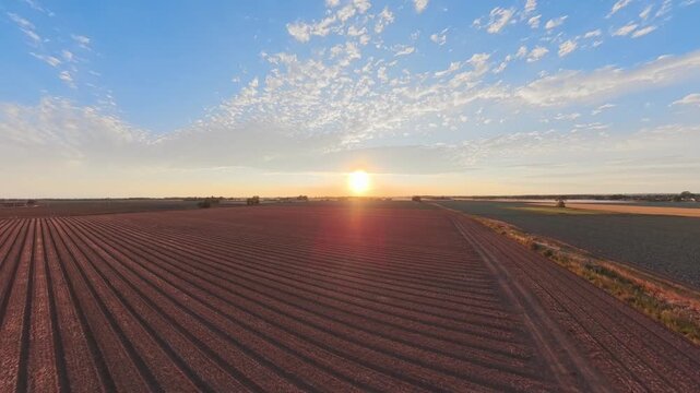 Sunset glows over tilled farmland rows. Sky holds wispy clouds, soft golden hue. Field stretches wide, earth's gentle lines. No people here, only quiet, natural peace. Lincolnshire