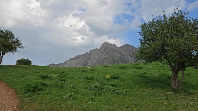 Lush green meadow bordered by a dirt trail, scattered trees, and rugged mountain peaks rising beneath a dramatic sky full of billowing clouds.
📍 Dezli, Sarvabad, Kurdistan 
