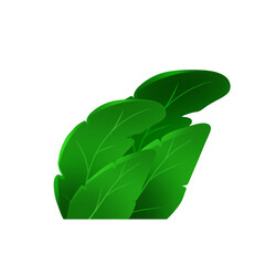 Stylized Green Tropical Bush Illustration © Union