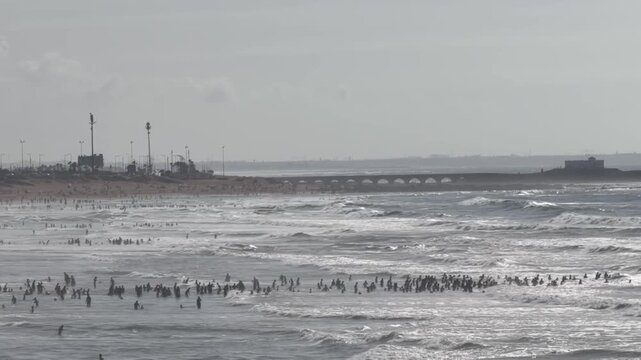 Crowded Beach Casablanca, Morocco Atlantic Ocean Horizontal Footage People Swimming Waves Hazy Summer Seaside Silhouette North Africa Travel Coastal Video
