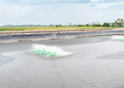 High-angle view of a large commercial fish farm pond with artificial aeration machinery operating under a cloudy sky.