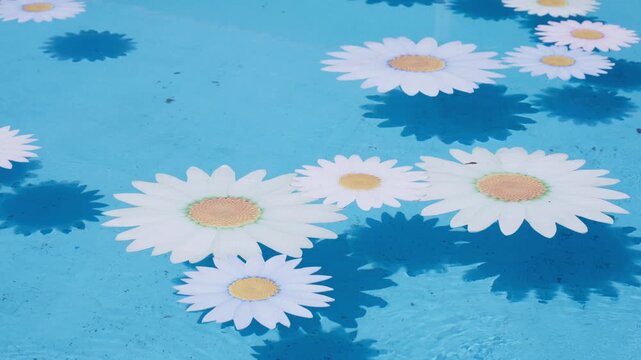 White daisies floating on turquoise pool water casting soft shadows on the tiled bottom
