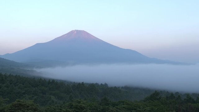 夏の早朝の明神山パノラマ台より望む雲海と森林越しの赤富士のタイムラプス映像（横・パンニング）