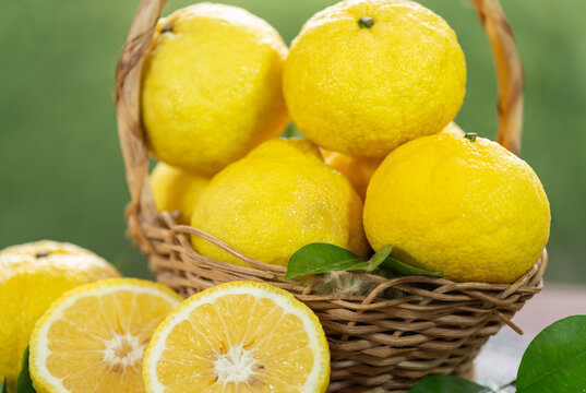Basket of Fresh Sweet Yuzu Orange fruit over blur greenery background, Kochi Yellow Yuzu over green natural Blur background.