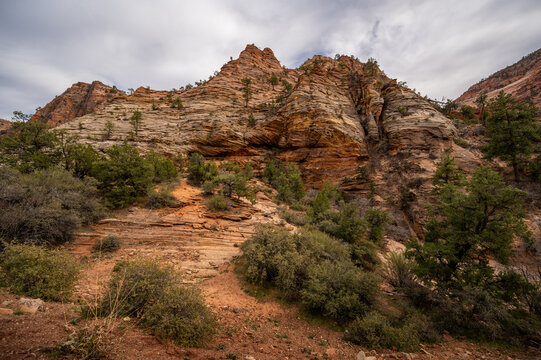 Majestic views of Zion national park.