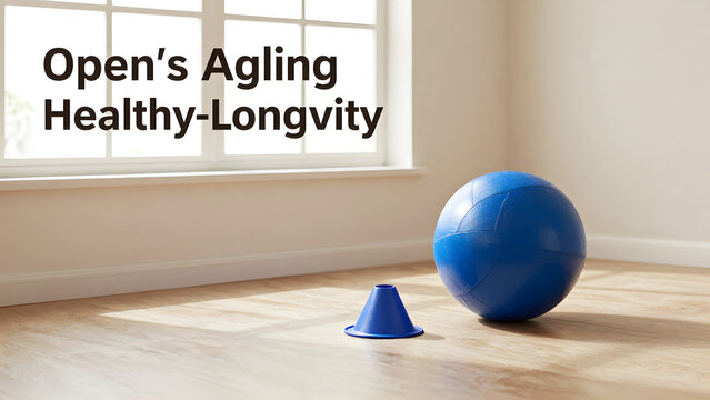 Blue exercise ball and cone on wooden floor indoors