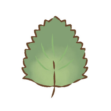 背景透過のもっちり手描きイラスト　年中使える素材　お野菜シリーズ　顔無し　しその葉
