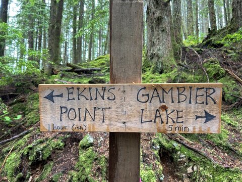 trail sign in the forest