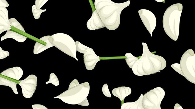 Animated Falling Garlic Bulbs and Cloves on Black Background