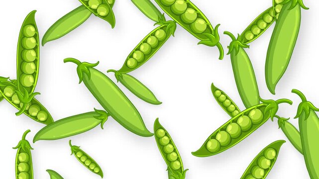 Falling Green Pea Pods Animation on White Background