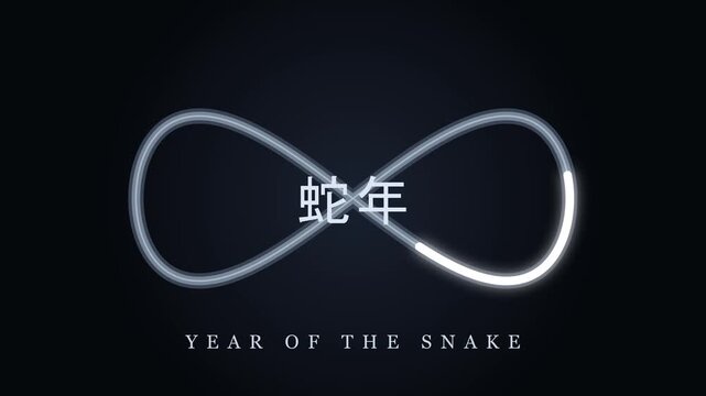 Abstract infinity symbol animation shaped like a silver dragon body with Chinese characters, symbolizing eternity and luck