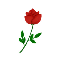 Obraz premium A beautiful digital oil painting or watercolor style illustration of a single red rose bloom with a green stem and textured leaves