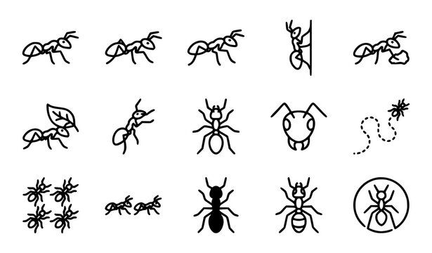 Walking ants insect outline icon set entomology EPS10 vector illustration