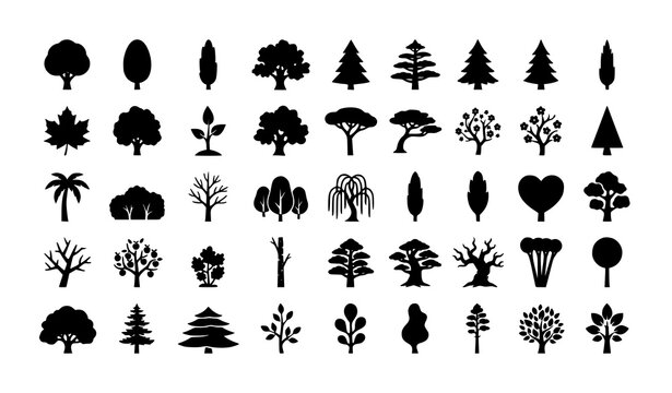 Different Tree Silhouette Icons Simple Minimal Botanical Vector Collection