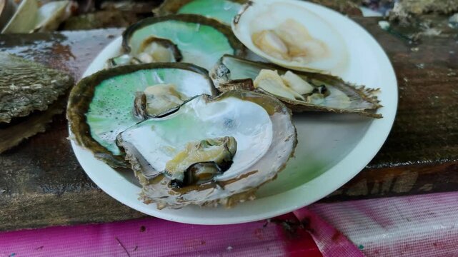 Fresh abalone shells with seafood meat arranged on white plate at a local market in Huatulco Mexico showing colorful shells and raw seafood on display