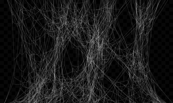 Realistic Vector Tangled White Spider Web Texture. Hanging Cobweb for Halloween design.