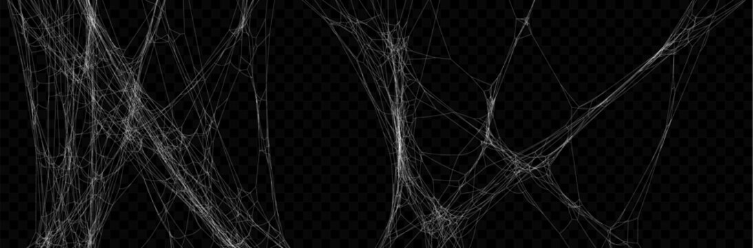 Set of Realistic Vector Tangled White Spider Web Texture. Hanging Cobweb for Halloween design.