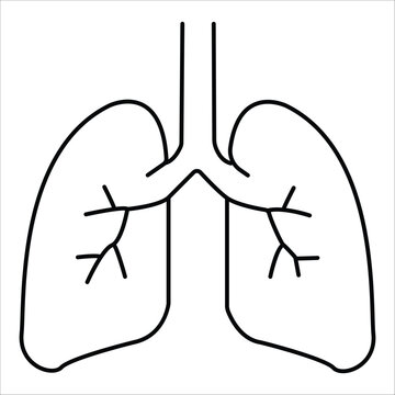 Minimalist human lungs line icon, anatomical respiratory system vector, medical lung health symbol for healthcare designs