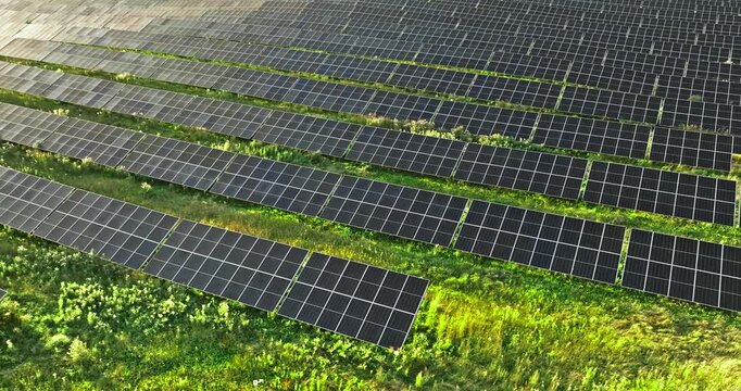 Zero-emission solar panels on a lush summer field, aerial perspective.