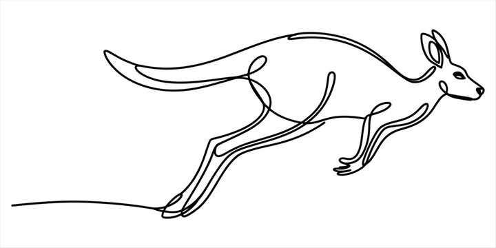 Jumping kangaroo continuous line art vector illustration for Australian wildlife nature conservation or animal kingdom exploration design project ideas.