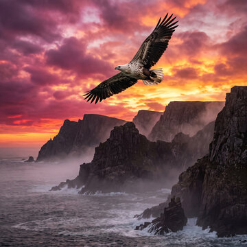 Aigle royal volant au-dessus des falaises rocheuses de l'oc&eacute;an au coucher du soleil