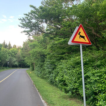 Deer crossing warning sign beside a winding forest road
