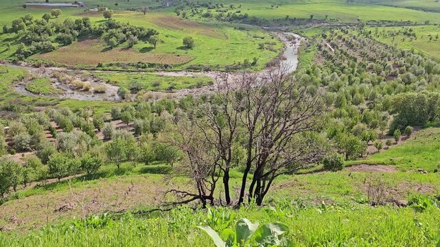 Dramatic sunbeams break through clouds over a snaking river carving through a fertile green valley, bordered by orchard rows and distant snow-dusted peaks
📍 Marivan, Kurdistan, Iran 