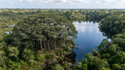 Fototapeta premium Aerial view of lush tropical rainforest with serene river landscape