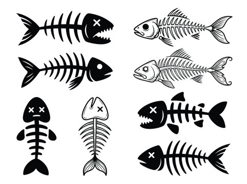 Collection of hand drawn fish skeleton and bone graphics with fish bones