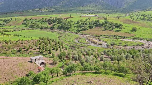 Dramatic sunbeams break through clouds over a snaking river carving through a fertile green valley, bordered by orchard rows and distant snow-dusted peaks
📍 Marivan, Kurdistan, Iran 