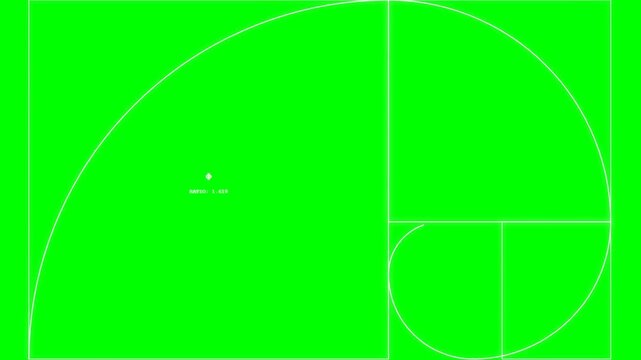 Golden Ratio Spiral and Fibonacci Sequence Mathematical Proportion Animation on Green Screen Background