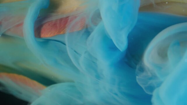 Vertical video. Paint water flower. Abstract fume. Defocused blue color wet smoke wave yellow red tulip plant nature on art background.