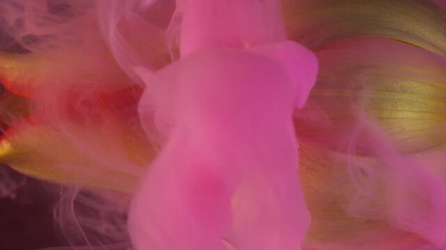 Vertical video. Color flower explosion. Mix paint fluid. Blur pink purple smoke yellow red plant tulip bud nature on abstract patterned background.