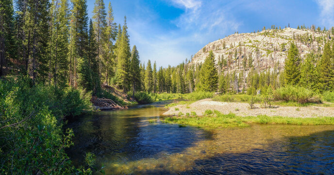 San Joaquin River Meadow in the Sierra Nevada