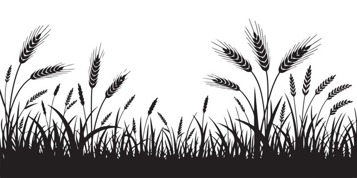 Black wheat and grass silhouettes border for rustic agricultural landscape design and organic food themes.