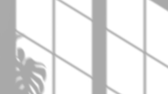 Window frame shadow overlay with tropical monstera plant leaf on white wall background