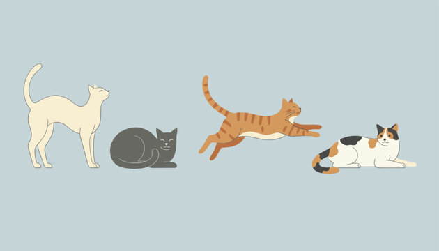 Set of four different domestic cats in various poses like stretching and sitting on light blue background.