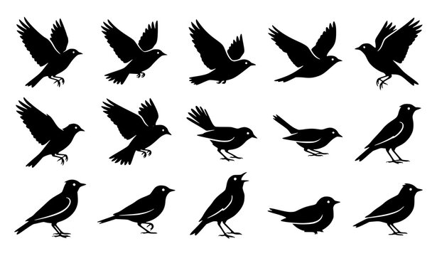 Lark Bird Flying Silhouette Vector Collection with Dynamic Songbird Poses