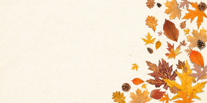 Fall. Autumn leaves and pine cones scatter across a textured backdrop