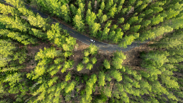 Aerial view of dark green forest road and white electric car Natural landscape and elevated roads Adventure travel and transportation and environmental protection concept	
