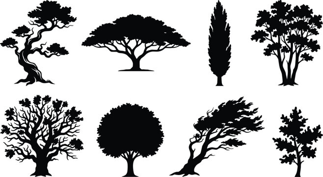 Black tree silhouette collection featuring bonsai, umbrella, cypress, broadleaf, leafless, and windswept trees