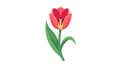 Obraz premium Red Tulip Flower Icon Isolated On White Background