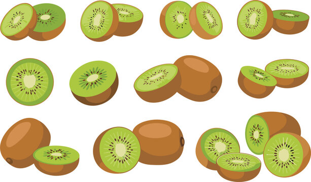 Fresh green kiwi vector illustration set, whole sliced half pieces sweet exotic fruit collection on background