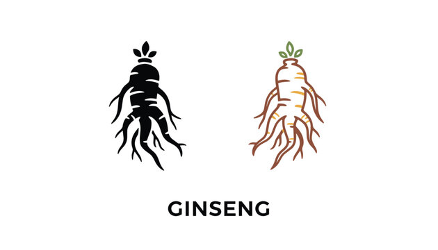 Comparison of ginseng root illustrations featuring a black silhouette and a detailed color drawing with text below.