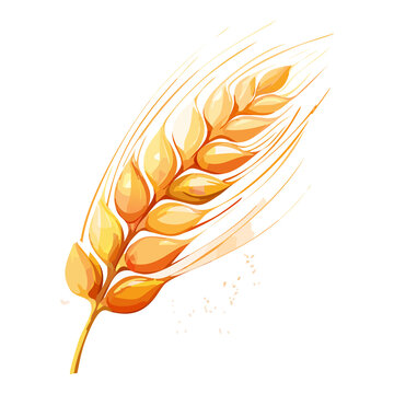 Single golden wheat ear with detailed grains for bakery menu pattern agriculture concept banner graphic vector illustration asset