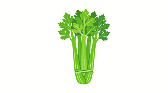 Vector illustration of a bunch of fresh green celery stalks with leaves isolated on white background