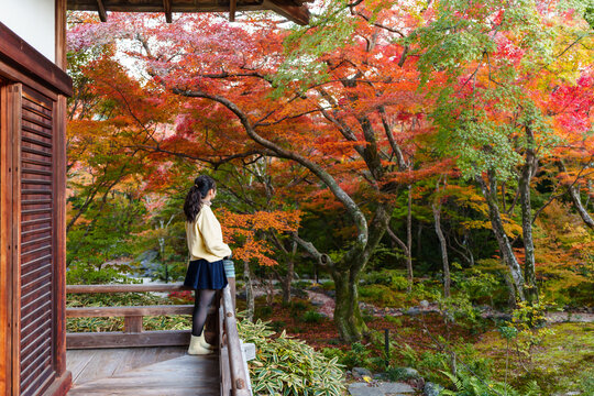 Solo female traveler enjoying the peaceful autumn foliage at a Zen temple in Kyoto, Japan